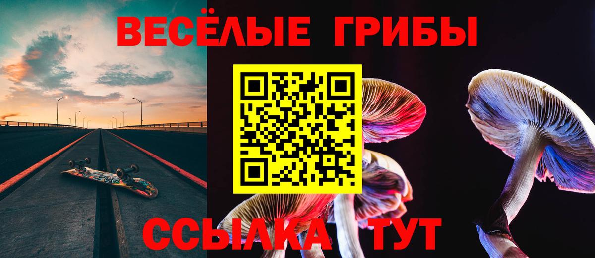 Псилоцибиновые грибы Psilocybine cubensis  купить наркоту  Аша  Псилоцибиновые грибы Psilocybe  Вход с VPN 